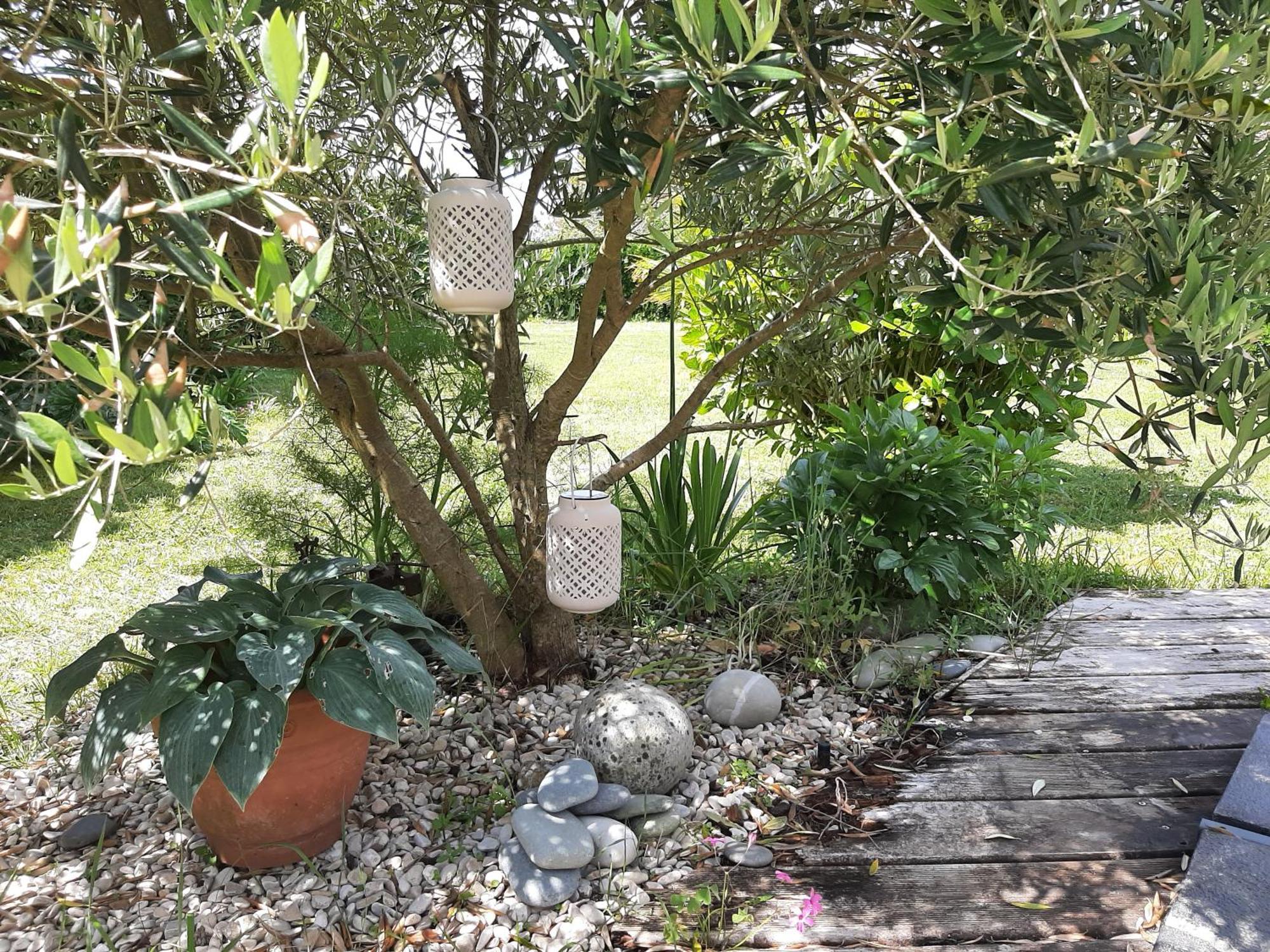 Maison Chaleureuse Bord De Mer Primelin Exterior foto